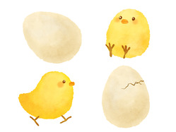卵とひよこ