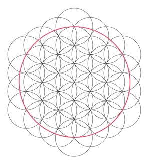 生命の花(2)
