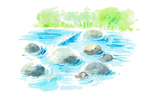 渓流