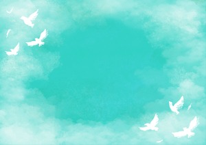 鳩