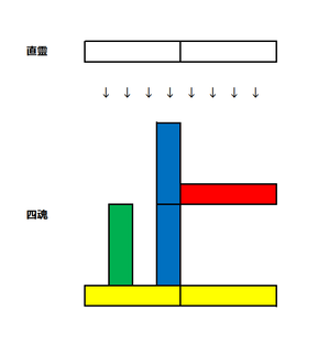 天津金木