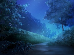夜の森