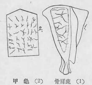 占い