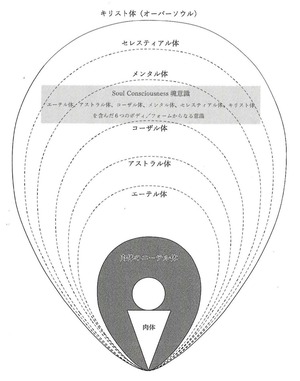 7つのボディ