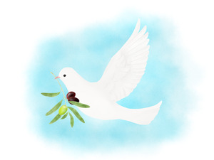 鳩