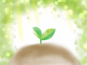 芽