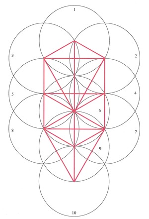 生命の木(5)
