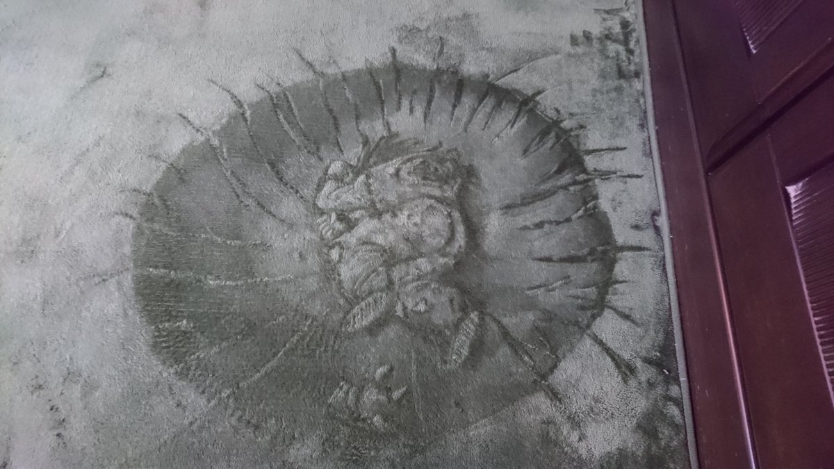 画像 絨毯に描かれたヤムチャに驚きの声 Twitdon ツイドン Twitterと2chのみんなの声