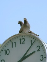 Time
