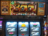 7220b43b.jpg