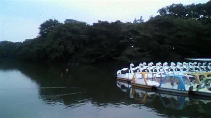 2010081718260000 2010081718260000