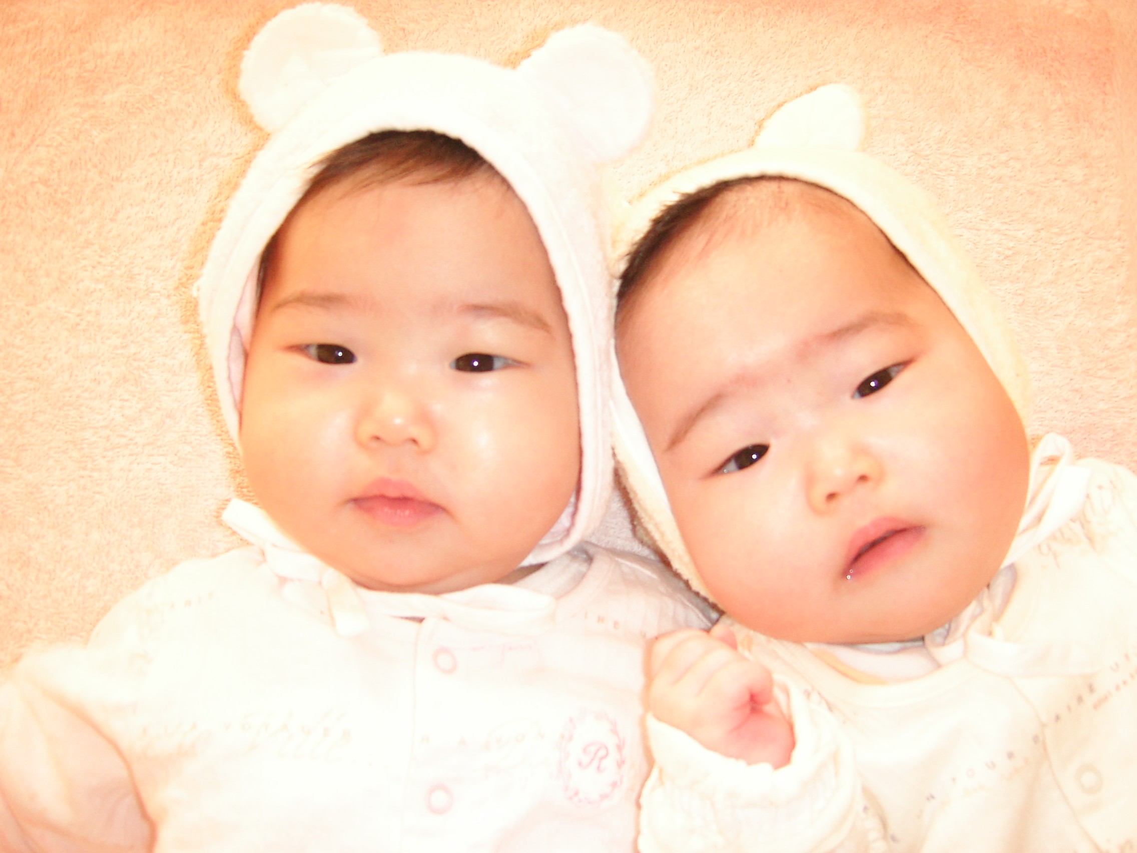 双子ブログ, かぼすだち 双子 | 双子 人気ブログランキング – IBZN