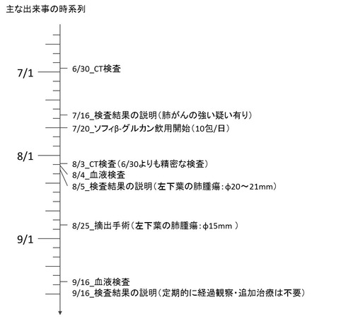 主な出来事の時系列