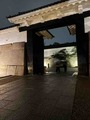 IMG_9047