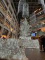 IMG_7889
