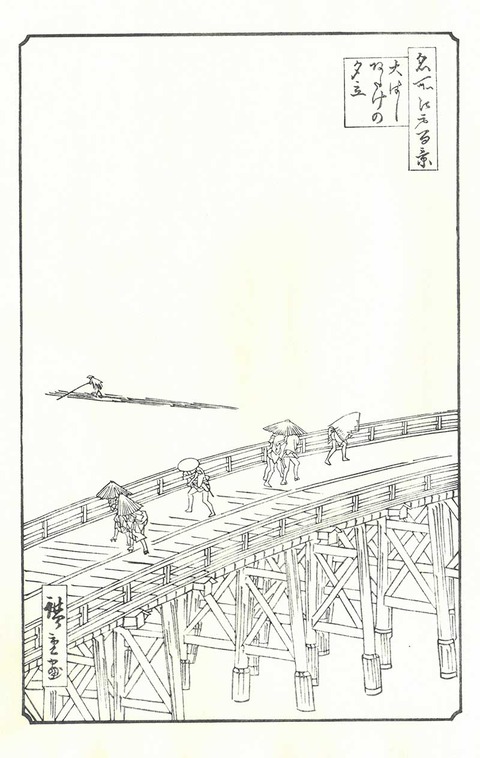 おおはしあたけ 骨板
