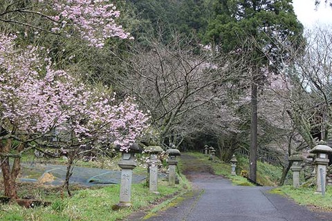 岡太神社④