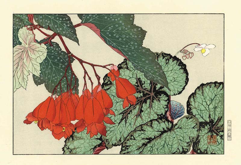 谷上廣南の木版画 : 芸艸堂 店主の日記