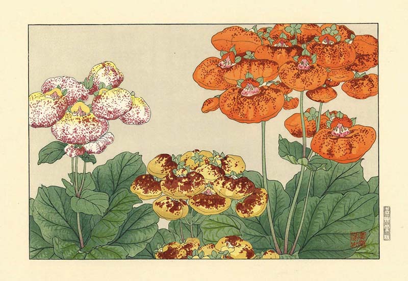谷上廣南の木版画 : 芸艸堂 店主の日記