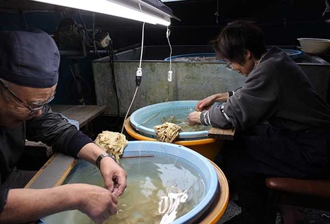 楮塵取り