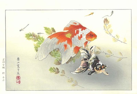 楽山 金魚 のコピー