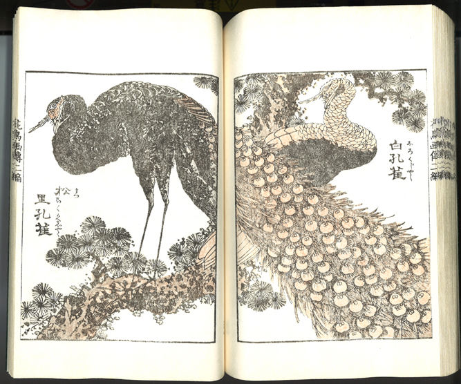 北斎漫画 完成しました 芸艸堂 店主の日記 北斎漫画 完成しました 芸艸堂 店主の日記