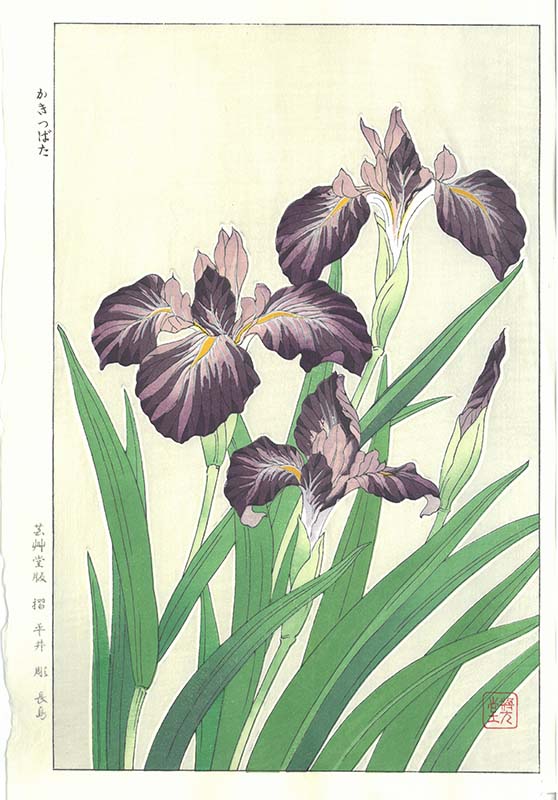 大菅祐一 – 芸艸堂