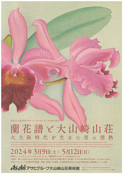 2024大山崎山荘蘭花譜展
