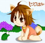 シバイヌたん ってどやねん