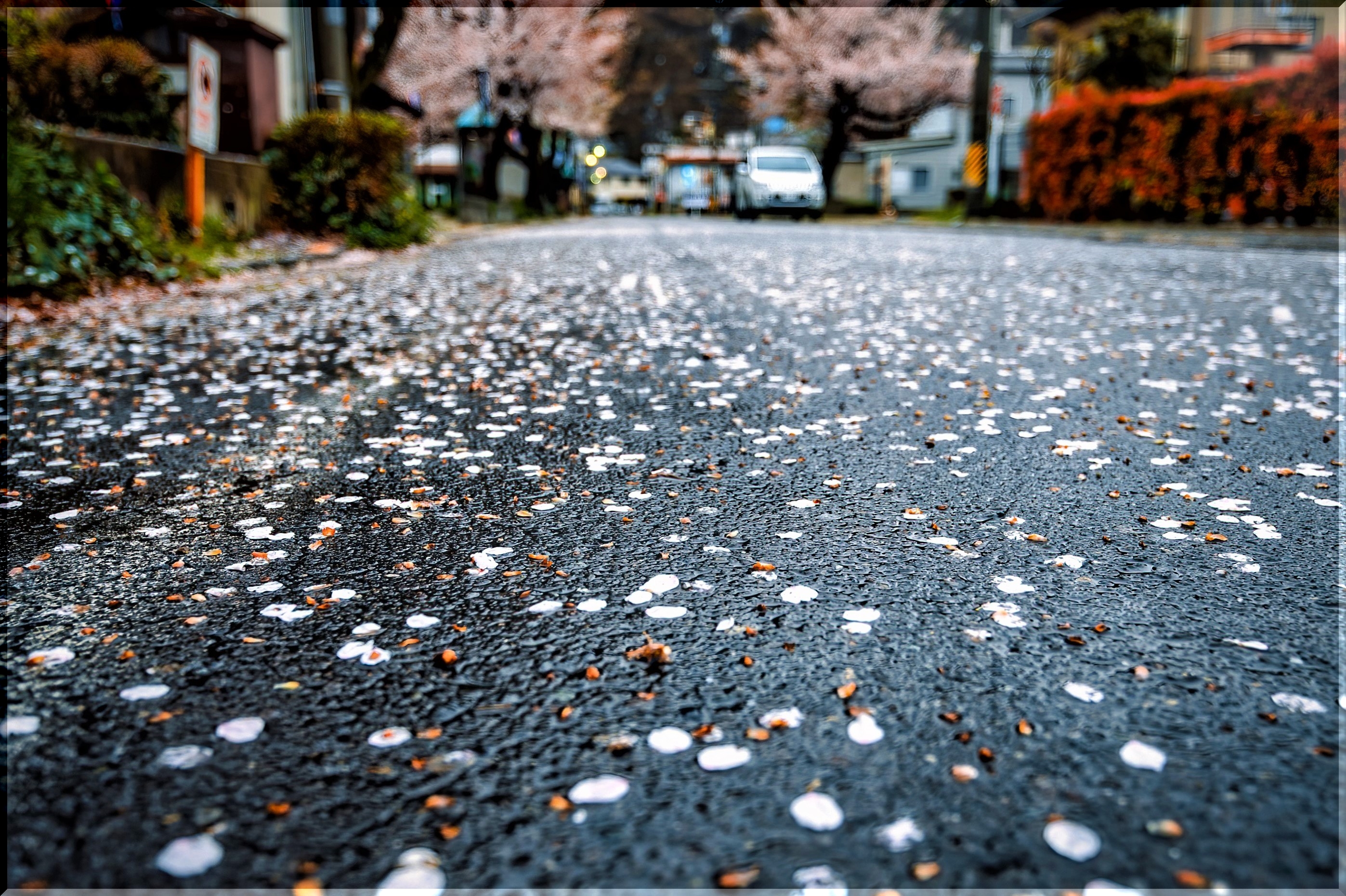 時間がゆっくりと そんな思いで雨を眺めていたら 雲水のひとりごと