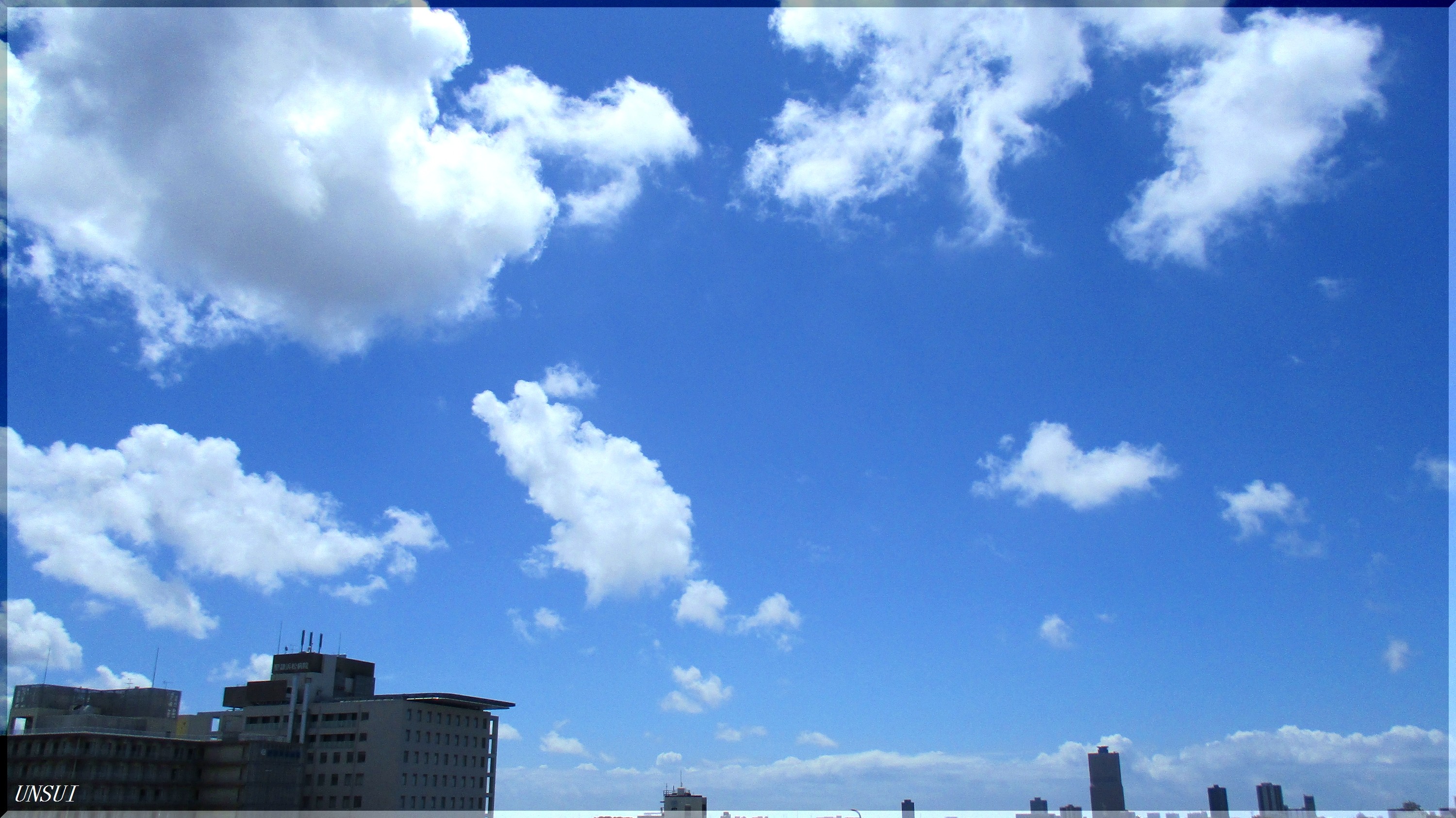 本当の 真夏 台風１１号 雲水のひとりごと
