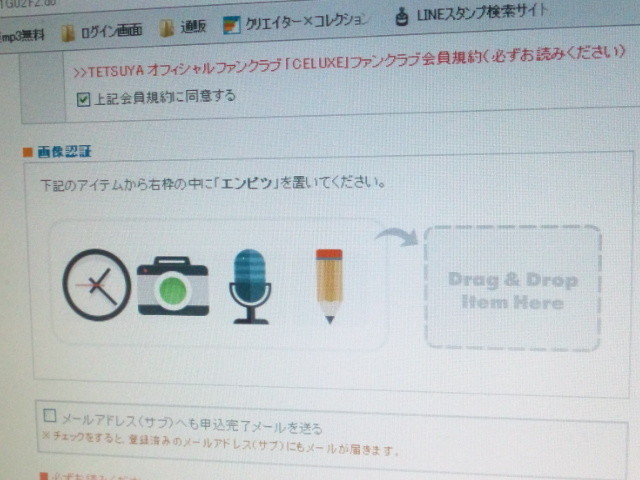 恒例だったんだ 自適遊戯 抄
