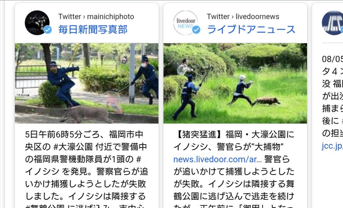 夏の街中で猪突猛進 自適遊戯 抄 夏の街中で猪突猛進 自適遊戯 抄