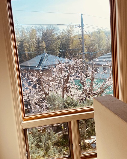 23ABAECC-E775-4D12-8627-40EFA5AD8E21