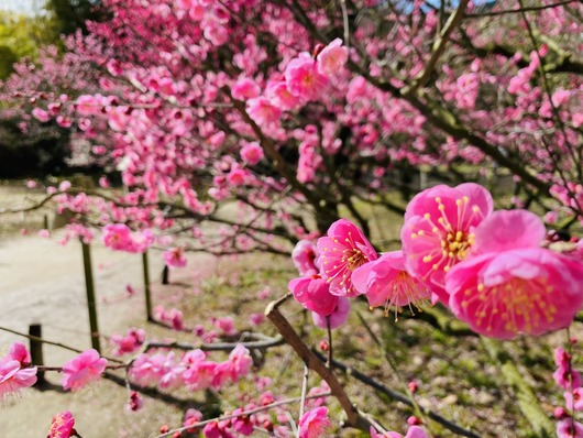 88AD253C-54B7-47DB-BDCA-AD4A85E8FF4C