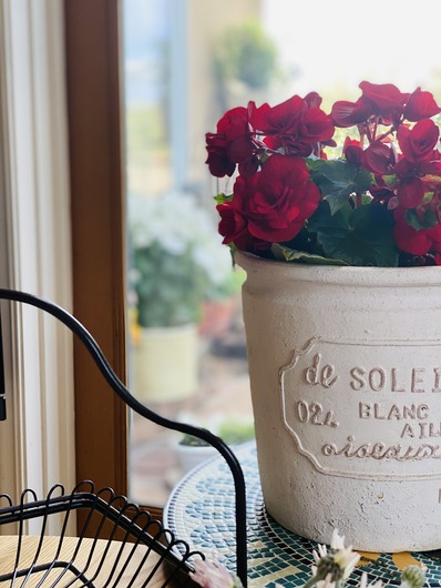 3346B465-03DB-49F2-9D28-964BDEAD95C5