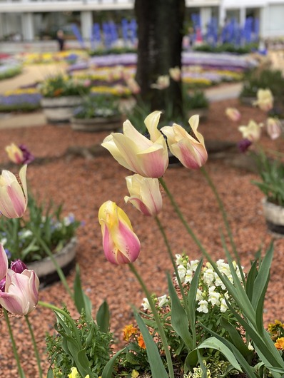 A3C13C9C-632C-4D64-935E-9ED94DF95B40