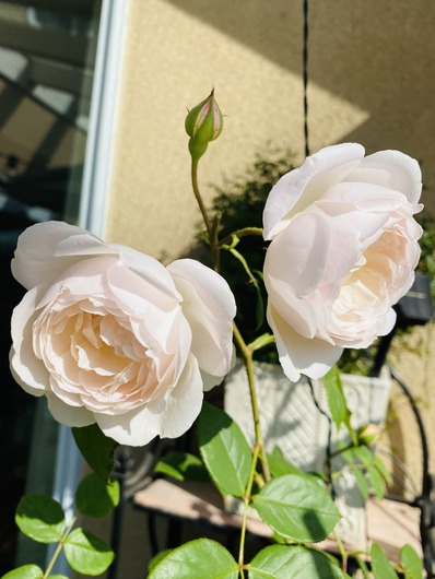 9A9AC45F-0619-4A67-9865-74DCA4FD0470