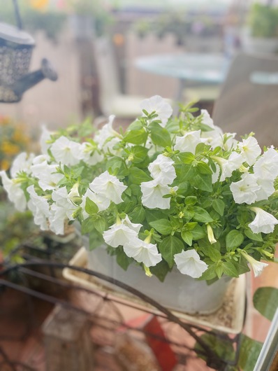 457D179C-C9E0-455E-A09C-260B66799D66