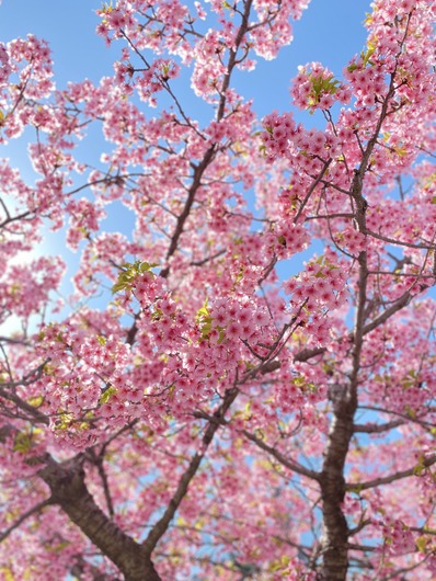 C121433E-9364-4F81-BCE9-08E12906535F