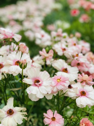 E8DEE911-715B-4532-98DD-D9D0683964F6