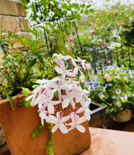 F3170881-53D9-4F5C-9B6F-E8714E6A9EA0