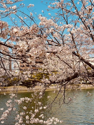 F7E3BFC9-C211-4323-82FF-F03E0B02E831