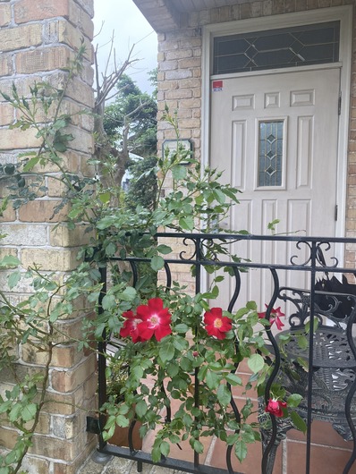 9A048C15-2454-441F-9A0A-7EDD7BAE0831