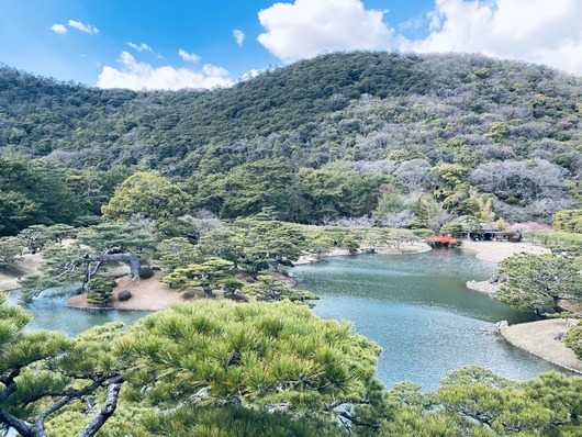 84F31562-EEA8-42B1-A878-FF7B111729D1