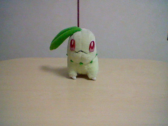 TOMY ポケモンぬいぐるみチコリータ : ペイント・イット