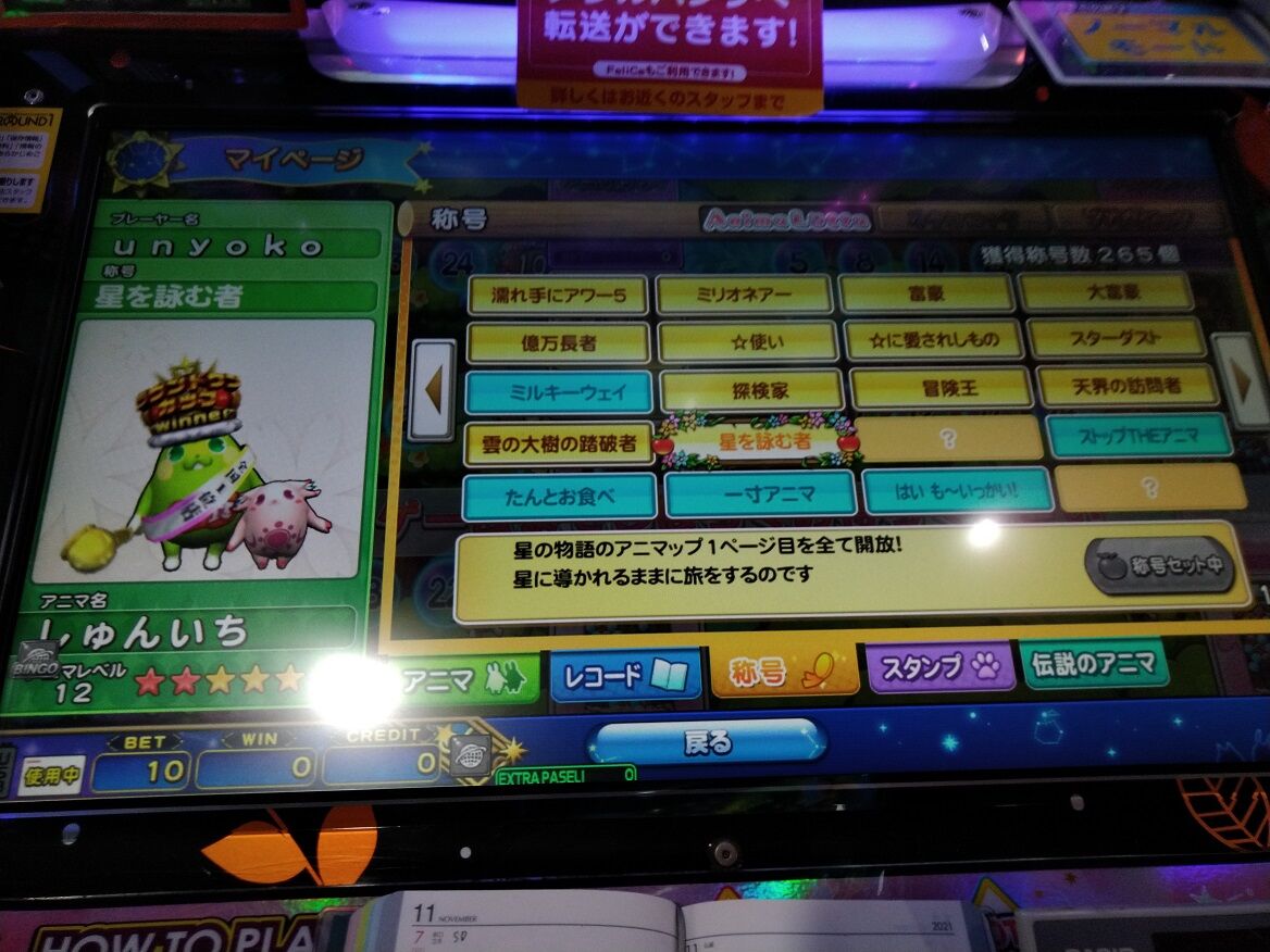アニマロッタ６ マイホｒｙ店 ファンシーフラワーを遊んでみました ペイント イット グリーン