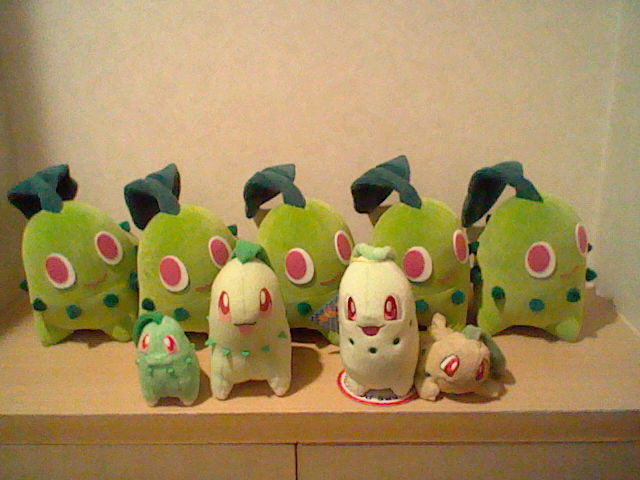 ポケットモンスター　チコリータドール　ぬいぐるみ チコリータドール、キタ━━━━(ﾟ∀ﾟ)━━━━！ : ペイント・イット