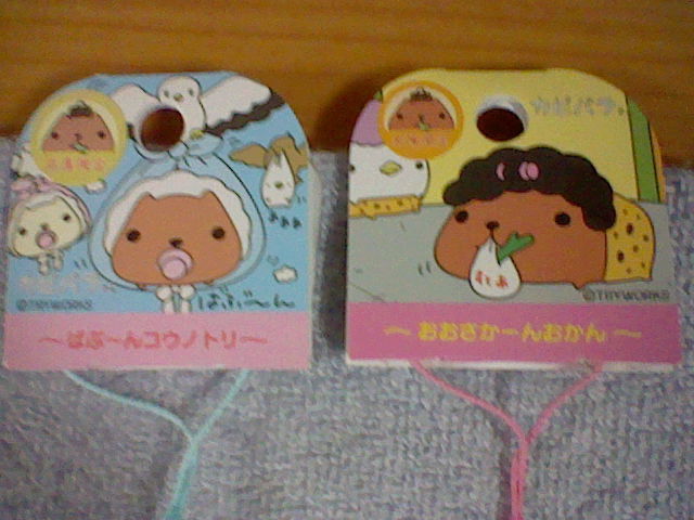 関西限定カビパラさんグッズ ねつけを買ってきました ２ ペイント イット グリーン