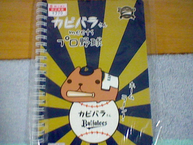 関西限定カビパラさんグッズ ねつけを買ってきました 1 ペイント イット グリーン 関西限定カビパラさんグッズ ねつけを買ってきました 1 ペイント イット グリーン